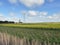 Rural area with rapeseed crops