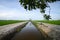 Rural area view surrounding with green paddy rice field