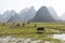 Rural areas near Guilin, with karst landforms?Guangxi, China