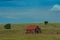 Rural Arizona landscape in heat wave with effect of heat haze