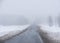 Rural asphalt road on foggy winter day