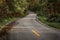 Rural asphalt sloping path