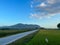 rural atmosphere with a stretch of rice fields on the right and left which is split by a road in the middle