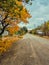 Rural autumn landscape. Old asphalt road, street with houses, tree with yellow foliage.