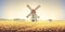 Rural autumn landscape with windmill