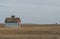 Rural barns in the field.