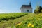 Rural baroque chapel on flowering meadow