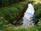 Rural Beautiful Water Pond Scene