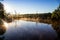 Rural Billabong in Queensland Australia