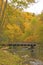 Rural Bridge in a Fall Forest