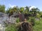 Rural Caribbean setting with fishing cages, scrap metal, lush vegetation under tropical blue sky. Tropical culture background