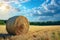 Rural charm Natural landscape featuring a field with hay bale