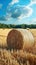 Rural charm Natural landscape featuring a field with hay bale