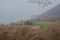 Rural contryside in mountains. Agricultural fields on hills with Iseo lake on background