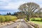 Rural Country Road through Agriculture grounds