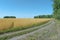 A rural country road goes around a field of ripened wheat