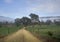 Rural country road Qld Australia.  Unsealed road fog in distance