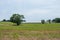 Rural Country York County Pennsylvania Farmland, on a Summer Day