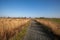 Rural countryside landscape. Path through agricultural fields