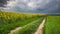 Rural countryside with path and green yellow field at stor, Time lapse