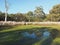 Rural creek through bush and wetland in the late afternoon sun