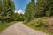 Rural curvy dirt road going through a lush forested area