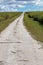 Rural Dirt Farm Road Running Through Sugar Cane Fields