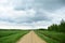Rural dirt road along a field of plants. Deciduous forest. There are clouds