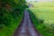 Rural dirt road in a countryside landscape with sunflowers field