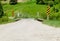 Rural dirt road crossing a narrow wooden bridge