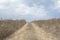 Rural dirt road leads through dry grassland against blue sky