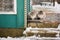 Rural domestic cats. winter large portrait on the street.
