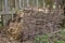 Rural dung heap behind a selfmade wooden fence