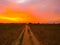 Rural dusty countryside road trough a field with sunset