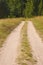 Rural dusty countryside road trough a fields and green trees.