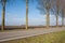 Rural Dutch landscape with windturbines