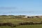 Rural England sheep farming in North Devon with old barn.