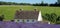 Rural English landscape with white house overlooking lavender fields on a flower farm in the Cotswolds. Green hill behind.