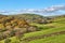 A rural English scene with Autumn trees.