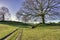 A Rural English scene with a farm track passing through a field.