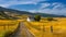 Rural farm landscape, rolling yellow meadow, under a blue sky