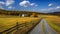 Rural farm landscape, rolling yellow meadow, under a blue sky