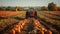 Rural farmer driving tractor, harvesting ripe pumpkin in plowed field generated by AI