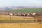 Rural Farming Landscape