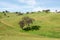 Rural Farmland, Southern New South Wales, Australia