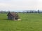 Rural farms and traditional architecture in villages over Lake Zurich, Erlenbach ZH - Canton of ZÃ¼rich Zurich or Zuerich