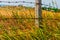 Rural fence of barbed wire on a hot summers day