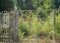 Rural fence and flower garden