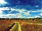 Rural field with dirt road during sunset. Autumn landscape in vibrant palette