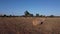 Rural field with large straw balls at sunset. Aerial view